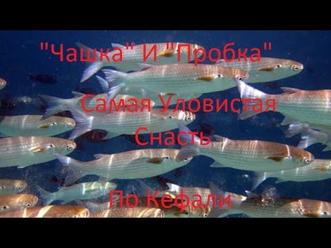 Как из снасти "СОСКА" на карася сделать снасть "ЧАШКА", "ПРОБКА" на кефаль