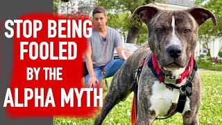 Why the Alpha Myth is Wrong Twice by Zak George’s Dog Training Revolution 16,598 views 8 months ago 2 minutes, 48 seconds