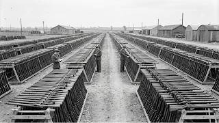 What Ireland Quietly Did With the 20,000 British Lee-Enfield Rifles Stored Until 1998