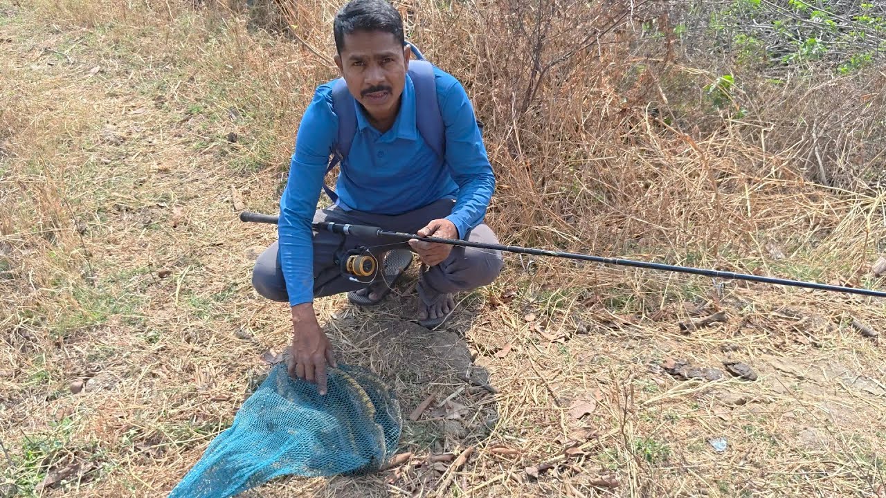 Amazing Snakehead fishing ll Back To Back 8 Piece Catching Video