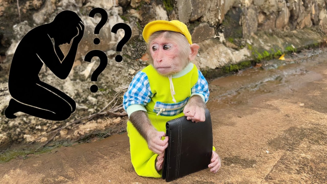 Cubis' actions become a hero praised by the online community 👍🙊