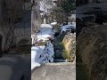 #funny # Japan #JapaneseGardens #Traditional #Japanese #LandscapeVideos #winter #nature #snow