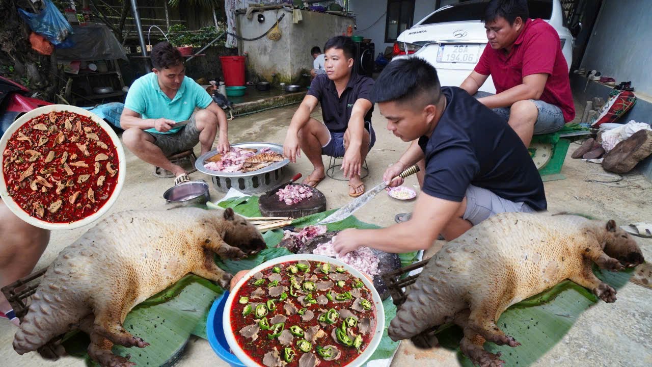 CỖ NHIỀU ĐẶC SẢN