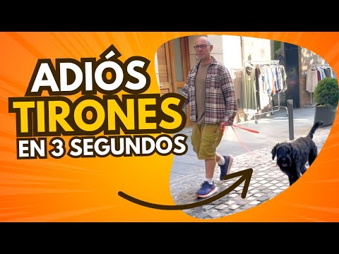 COMO DETENER que tu Perro Tire de la Correa en Segundos - GARANTIZADO (Método Profesional 2025)