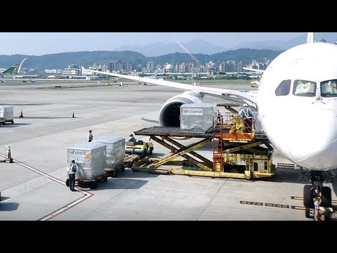 飛行機へのコンテナ積み込み 24分間をノーカット8倍速で Jal Boeing 787 8 Dreamliner Youtube