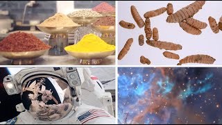 NASA: Is Turmeric The Universal Remedy?