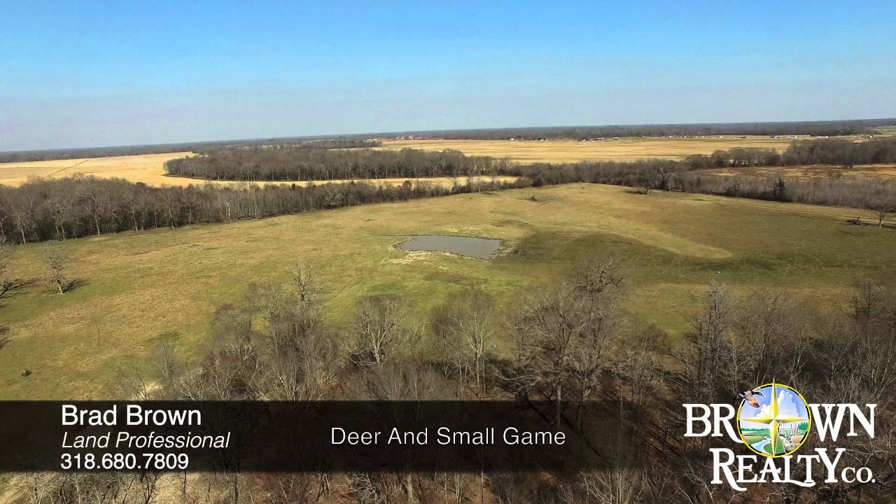 140 Acres Of Farmland For Sale In Franklin Parish, LA YouTube