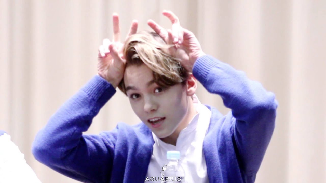 151101 용산팬싸인회 세븐틴 버논 (VERNON focus)