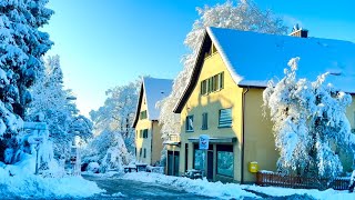 SWITZERLAND _ Winter WonderlandZurich City Covered In Snow , City Snowfall