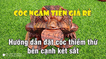 Cóc thiềm thừ giá rẻ | Hướng dẫn đặt tượng cóc phong thủy ngậm tiền cạnh két sắt