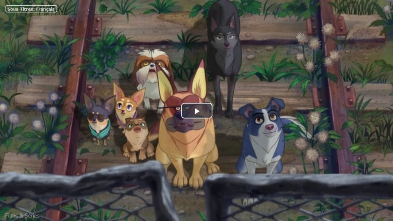 Nous Les Chiens Film Complet Streaming Vf Youtube Nous Les Chiens Film Complet Streaming Vf Youtube