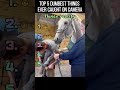 These horses know how to get into trouble 🤣#funny #foryou #fyp #laugh #funnytiktok #horses