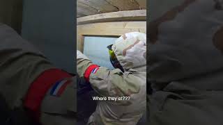 Amazing rush behind the enemies #sh...