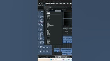 Cubase 14 Pro VST 2 Support