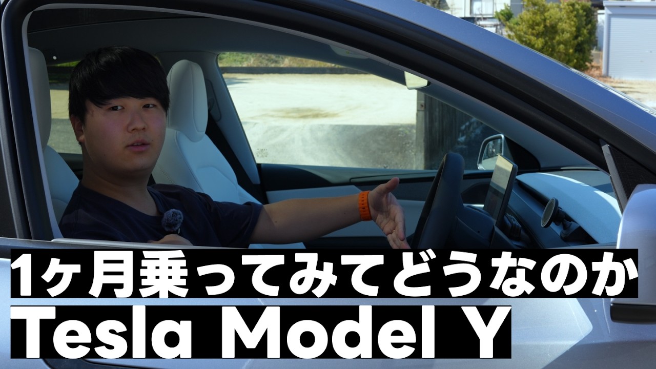 20歳AIエンジニア(LLMと画像)がテスラに1ヶ月乗った本音｜ワイパーがAIで動かない件