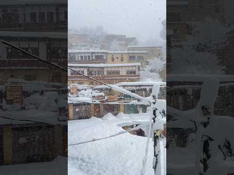              گیلان ماسوله