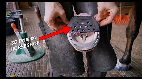 3D Printed HORSESHOE | Future for horses?