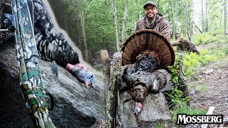 28 Gauge Turkey Hunt | Maine Longbeard! @MossbergCorp