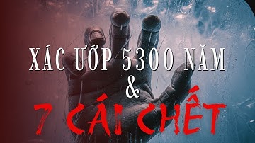 Bí Ẩn Vụ Án Mạng 5.300 Năm & Lời Nguyền Chết Chóc: Sự Báo Thù Của Người Băng Ötzi