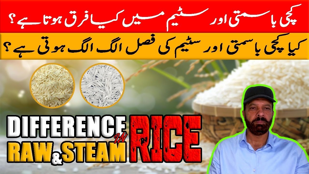 Difference Between Raw Rice Steam Rice And Boiled Rice 16. Difference in between Raw Rice & Steam Rice (Chawal) in Basmati ...