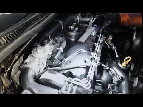 Vídeo: Qui és el fabricant de motors depredadors?