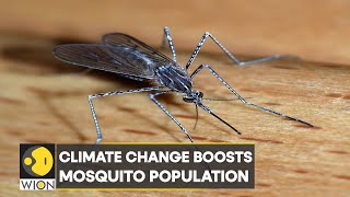 WION Climate Tracker | Mosquito spraying industry booms in US, climate change aids population