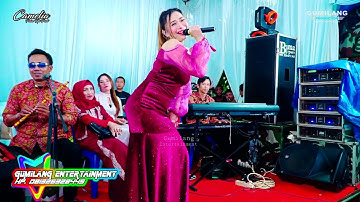 CAMELIA MUSIC - KECEWA - EVIS RENATA - WEDDING  YULIANA & REYHAN - BANYUMANIS DONOROJO JEPARA