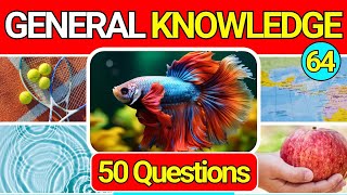 General Knowledge Quiz Trivia 64 📚💡| Can You Answer All 50 Questions Correctly? 2024 by QuizzyQuest 3,532 views 1 month ago 13 minutes, 36 seconds