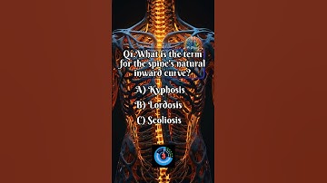 Comment Your Score: How Many Did You Get Right? #shorts #quiz #trivia