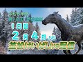 笠松けいばライブ配信R7.02.04