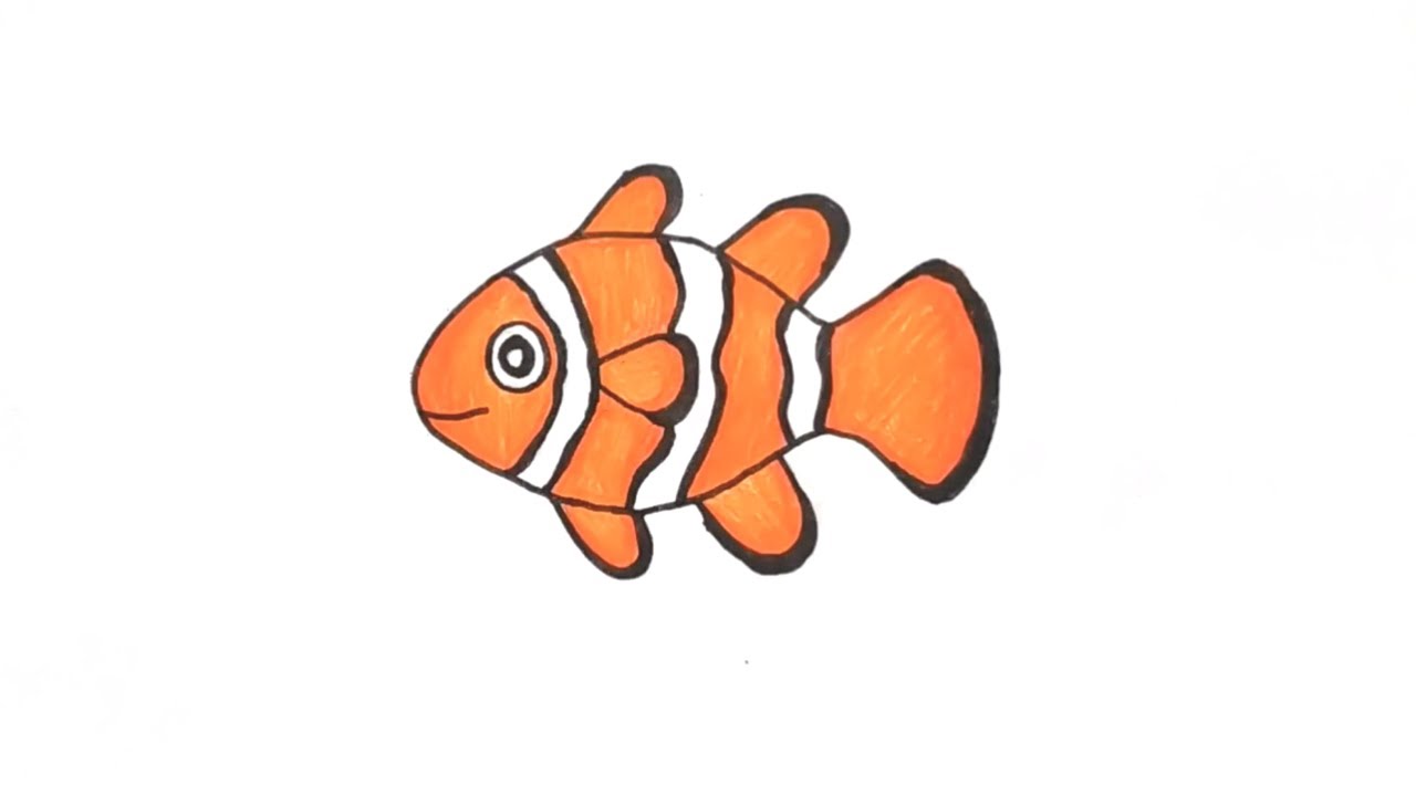 2500 Clown Fish Illustrations RoyaltyFree Vector Graphics  Clip Art   iStock  Clown fish group Clown fish anemone Clown fish isolated