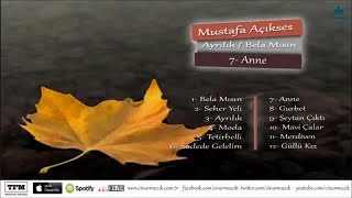 Mustafa Açıkses - Anne Resimi