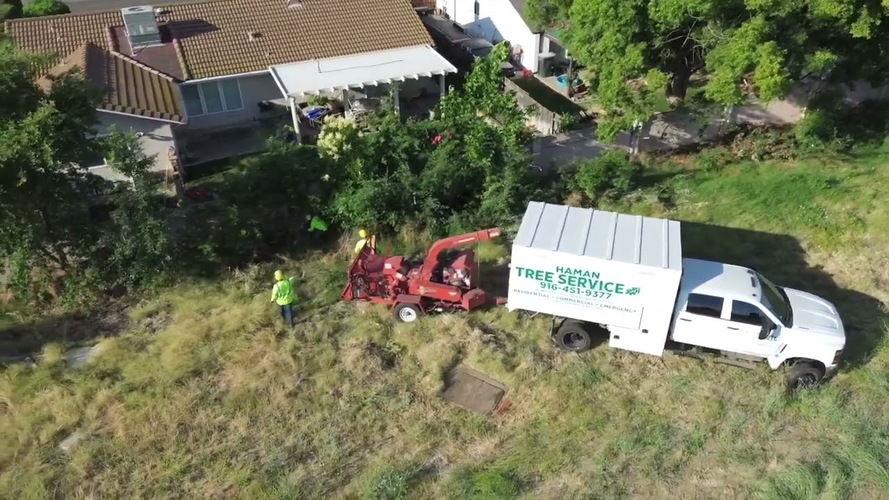 Pacific Green Landscape Maintenance