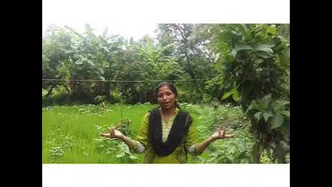 PG B Introduction of Green Colour