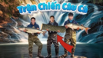 PHD | Trận Chiến Câu Cá