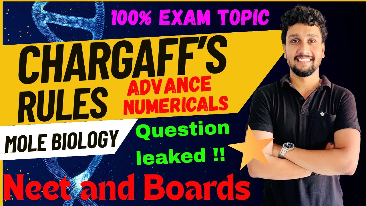 Chargaff’s Rule Numerical Questions Solved | NEET & Boards | DNA Base Pairing Concept Explained |