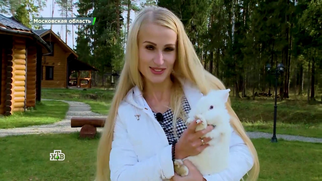 Загородный отель CLUBBARIN eco hotel & bar