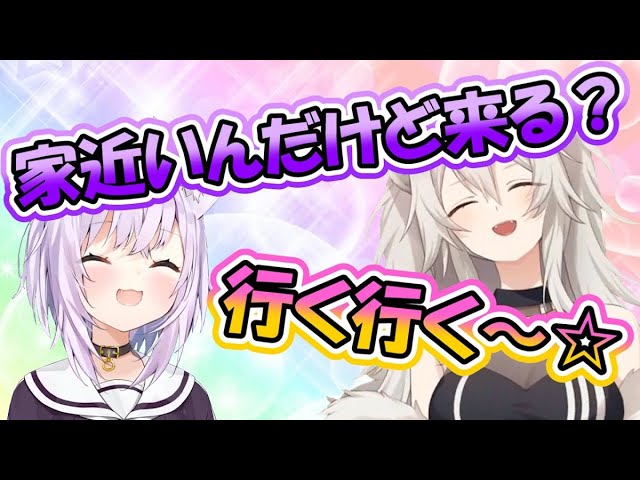 コミュ強&フッ軽すぎてオフコラボが爆速で決まるネコ2匹【ホロライブ/切り抜き/猫又おかゆ/獅白ぼたん】
