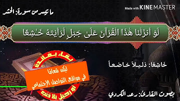 تلاوة عطرة ما تيسر من سورة الحشر بصوت القارئ : رعد الكردي