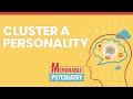 Cluster A (Paranoid, Schizoid, Schizotypal) Personality Disorders (Memorable Psychiatry Lecture)