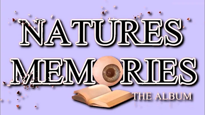 B O Ḵ Ë - As A Matter Of Fact (feat. Aniela)