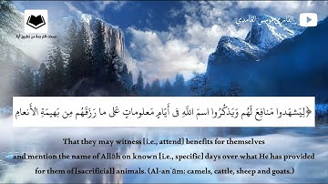 صلاة العشاء من سورة الحج (إن الذين كفروا ويصدون عن سبيل الله)، القارئ موسى الغامدي