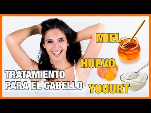 Tratamiento con MIEL, YOGURT Y HUEVO para cabellos secos o maltratados