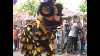 PERAWAN BOHONGAN AJI PUTRA LIVE DS.KALIPASUNG  01 JULI 2017