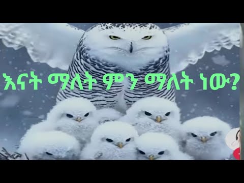 እናትን በምንቃል ትገለፃለች ግን