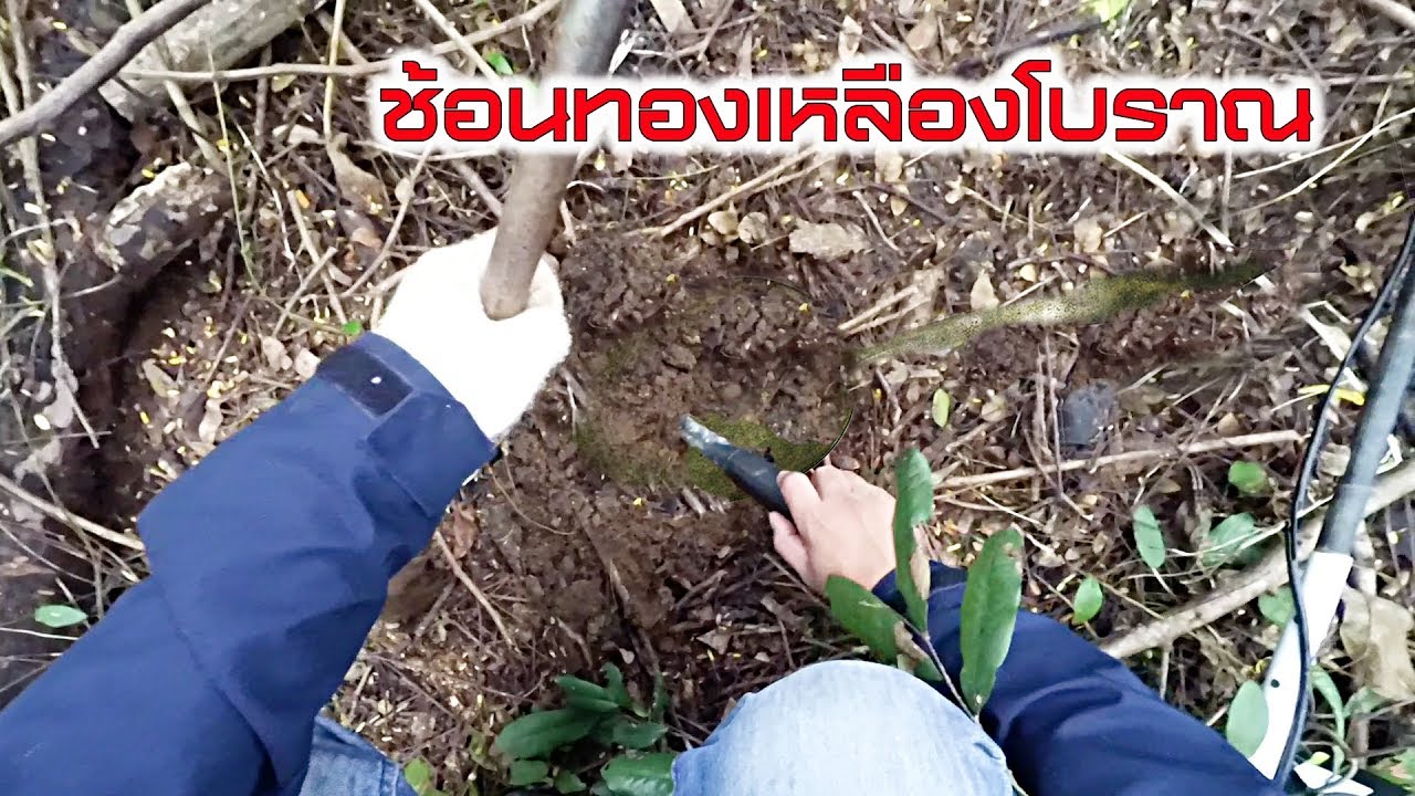 Treasure Hunters นักล่าสมบัติ EP35 ป่ารกร้างที่กบินทร์บุรีอดีตสถานที่ราชการเก่า eddy kim