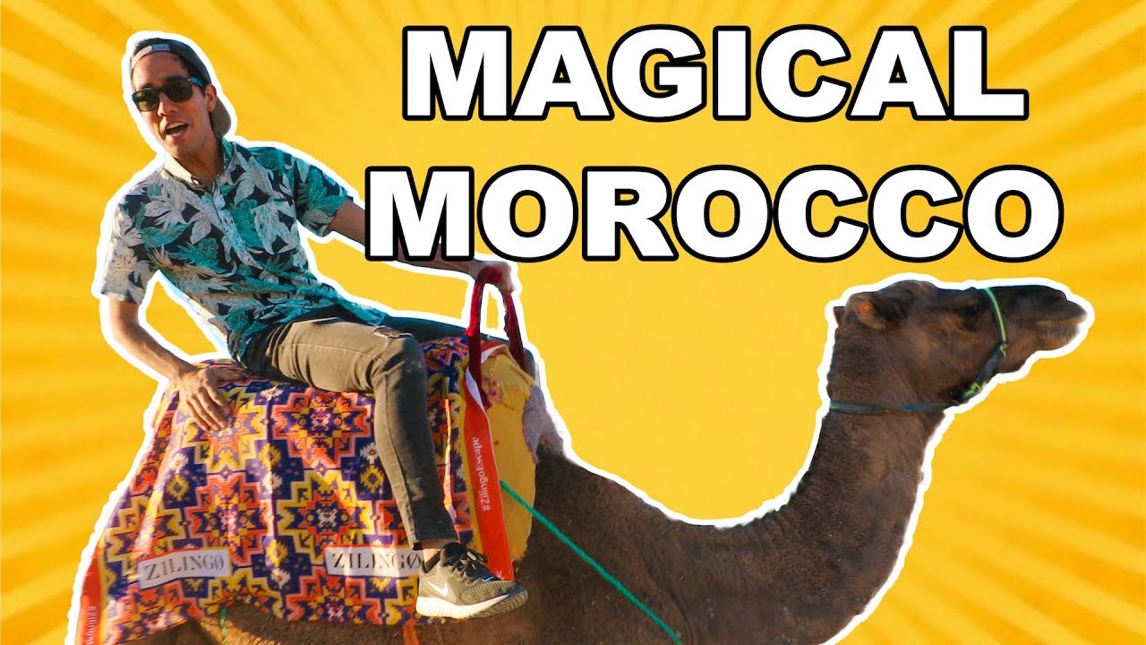 Magic Tricks for Travel | Zach King zach king videos