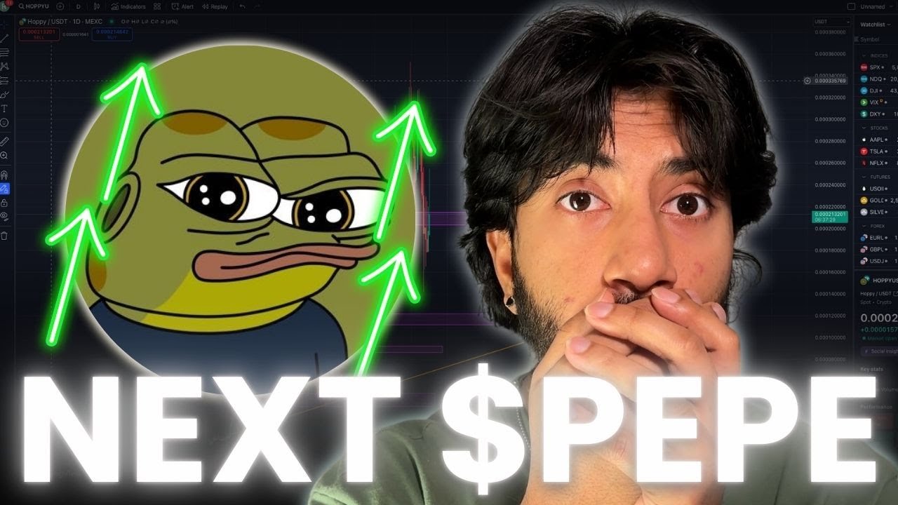 $HOPPY IS GOING TO FOLLOW $PEPE! HOW MUCH CAN THIS MEME COIN PUMP?