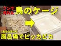 文鳥のケージを掃除します！洗い方・汚れ防止のコツ・NGなことを解説
