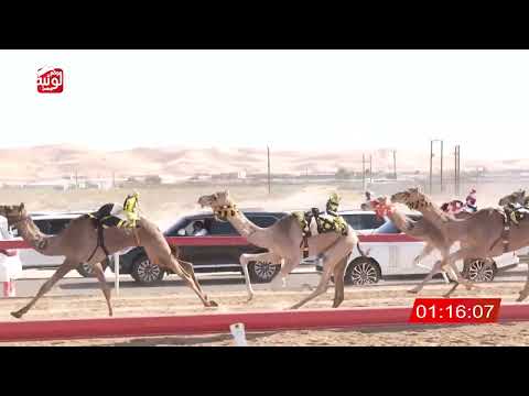 ش 7 الدكتوره ل محمد حمد بن قمشه العامري 1 52 شارة الصندوق 2026 01 03 فطامين الساد